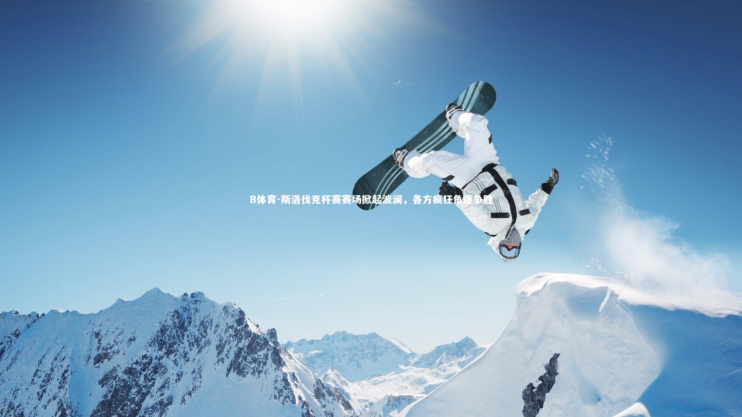 B体育-斯洛伐克杯赛赛场掀起波澜，各方疯狂角逐争胜-第1张图片-B体育