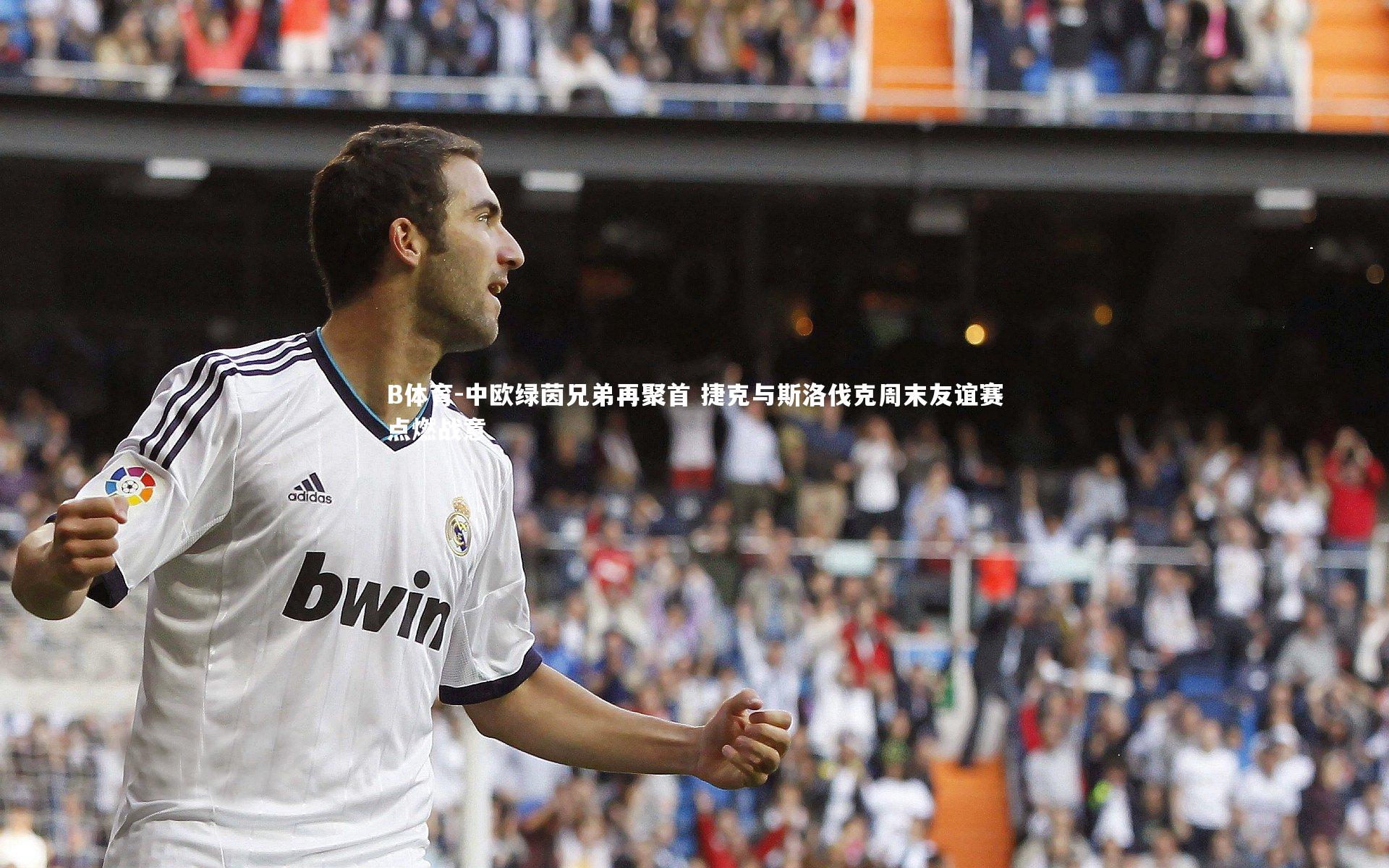B体育-中欧绿茵兄弟再聚首 捷克与斯洛伐克周末友谊赛点燃战意-第2张图片-B体育